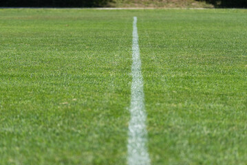 The white line on the green turf. A line on a grassy field.