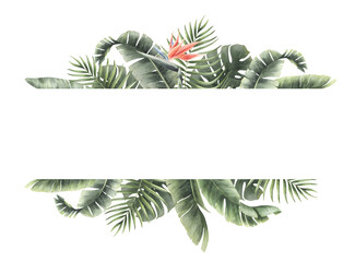 Tropical banner with watercolor monstera and palm leaves and paradise bird flower isolated on transparent background. © Aleksandra Baianova
