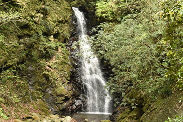 新緑の伊佐布北滝