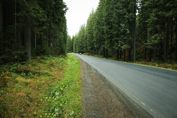 Travel and adventure concept, road in the forest