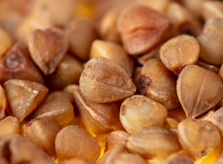 Close-up of buckwheat groats as background.