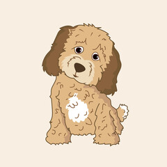 Little poodle dog vector