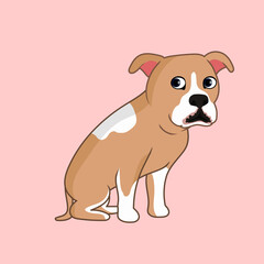 Bull dog vector