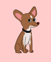 Chihuahua dog vector illustration