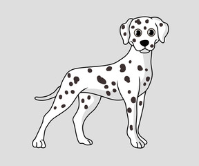 Dalmatian dog illustration