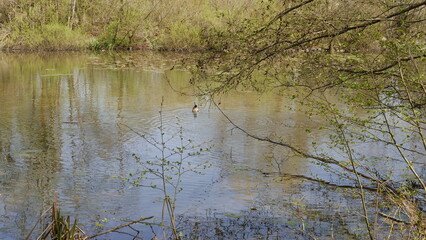 Der Kurpark in Thalfang