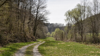 Tal bei Thalfang