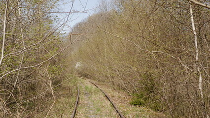 Hunsrückquerbahn bei Thalfang