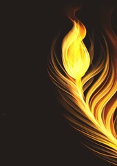 Golden peacock, phoenix feather with fire flames background