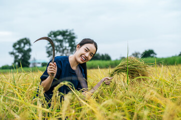 Portrait young female farmer in rice field