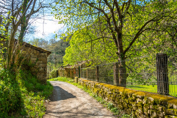 Path between the Tornin to the Olla de San Vicente, near Cangas de Onis. Asturias. Spain