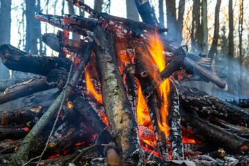 Campfire in the spring forest. Rest on the weekend. Danger of forest fires