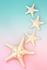 Fototapeta na wymiar Starfish seashell creative background on pastel pink and blue. Abstract minimal summer heavenly composition. Flat lay, top view, copy space.