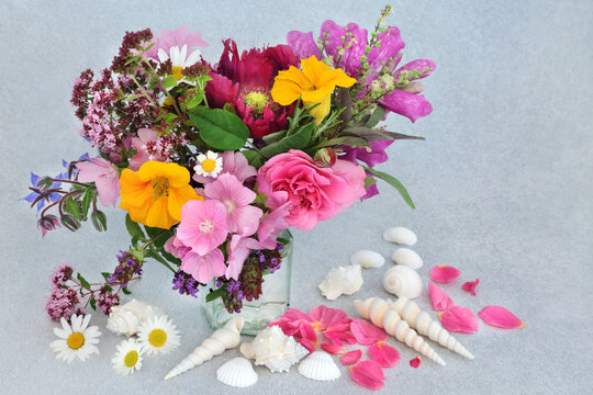 English summer flowers, wild flowers and herb arrangement with seashells. Still life with all plants used in herbal plant medicine to treat a various illnesses. On mottled grey background.