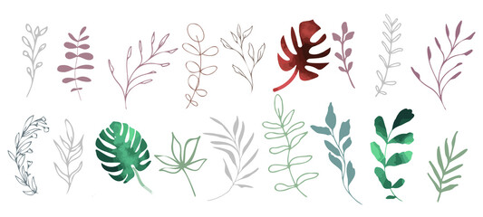 Hand drawn colorful plant set modern and universally usable. Flower branch and minimalistic plants. Hand drawn lines, elegant leaves for your own design. Botanical, chic and trendy plants. 