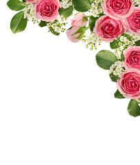 Pink roses and spirea flowers in a floral corner arrangement isolated on white background.  Top view