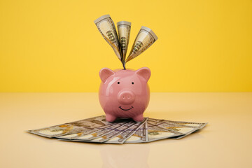 Savings in the piggy bank, overflowing with cash