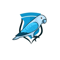 Lovebird graphic vector illustration. Cobalt blue lovebird in elegant style. Perfect for bird club logo design. 