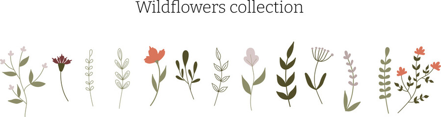 Vector collection of cute wildflowers and twigs with leaves. Flowers on an isolated white background. Floral elements for decor and invitations