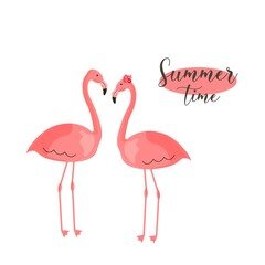 Banner with flamingo and sign summer time. Isolated on white background. Flat vector illustration