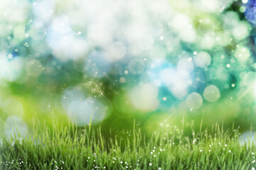 Fototapeta na wymiar Fresh green grass in meadow on sunny day, bokeh effect