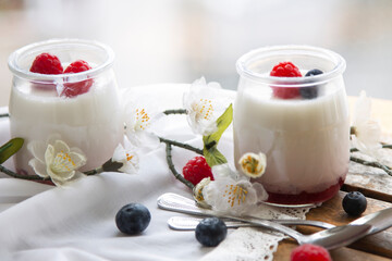 Healthy breakfast of yogurt and blueberries