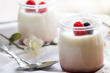 Healthy breakfast of yogurt and blueberries