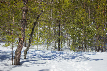 Tsaryov Kurgan, a part of the Volga-Sok Mountain system. A limestone quarry was exploited here...