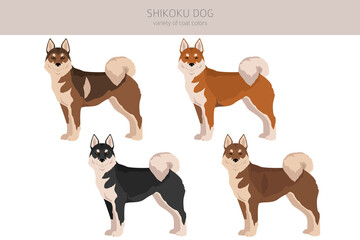 Shikoku dog coat colors, different poses clipart