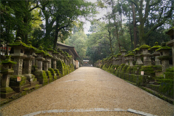 春日大社の参道