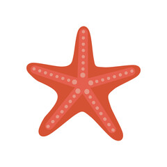 Orange starfish isolated on white background. Sea creature with spines. Marine flat clip art. Cartoon vector illustration