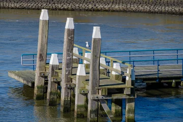 Fototapeten Den Helder © Holland-PhotostockNL