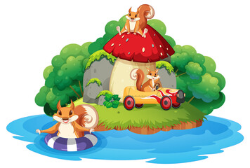 A squirrel play on island