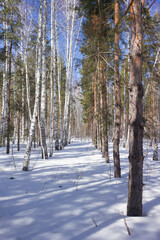 Tsaryov Kurgan, a part of the Volga-Sok Mountain system. A limestone quarry was exploited here once, now it's not in use and protected. Samara Region, Russia.