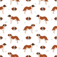 St Bernard shorthaired coat colors, different poses seamless pattern