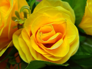 Yellow beautiful artificial roses. Macro of artificial pink rose petals