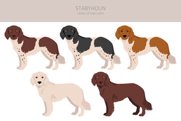 Stabyhoun coat colors, different poses clipart.