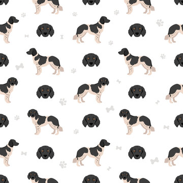 Stabyhoun coat colors, different poses seamless pattern