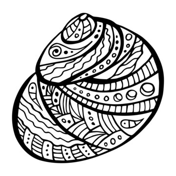 Zen art monochrome shell isolated on white background. Ornamental tribal style zen doodle conch for tattoo or art therapy coloring book. Hand drawn ornate Polynesian shell.