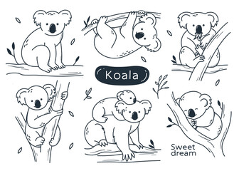 cute koalas. simple illustrations in doodle style, hand drawn. wild animals.