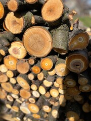 stack of firewood