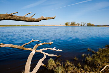 Fototapeta premium early spring odra river