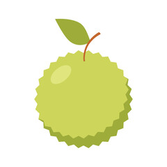 Durian fruit Flat design vector illustration of durian on white background