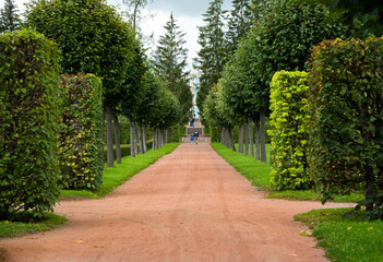 Beautiful green park in summer, cut trees and path