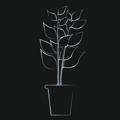 Freehand sketch on a black background.Houseplant in a flower pot. Logo, banner, postcard.