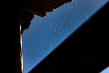 cobweb against a clear sky between wooden beams	
