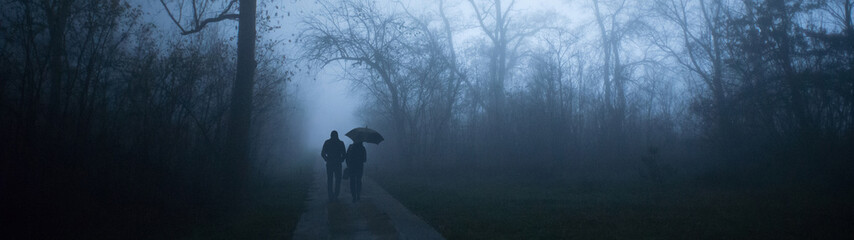 Silhouette of couple walking in the park on a misty winter night
