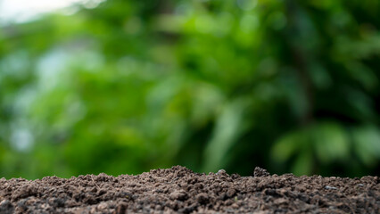 fertile soil and blurred green nature background Concept of nature, environment, and natural environment conservation.