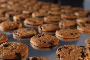 Many delicious cookies on production line, closeup