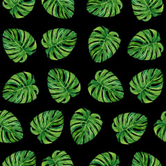 Watercolor tropical seamless pattern with exotic monstera on black background.